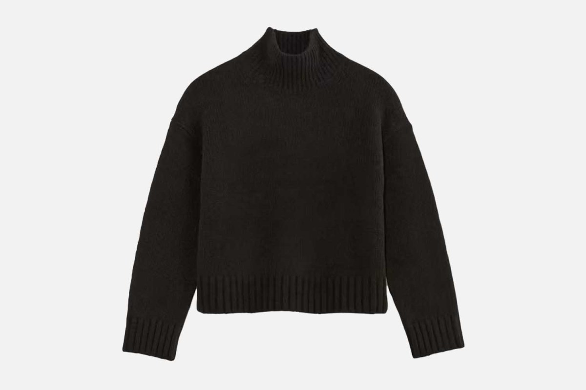 Everlane The Cloud Oversized Turtleneck
