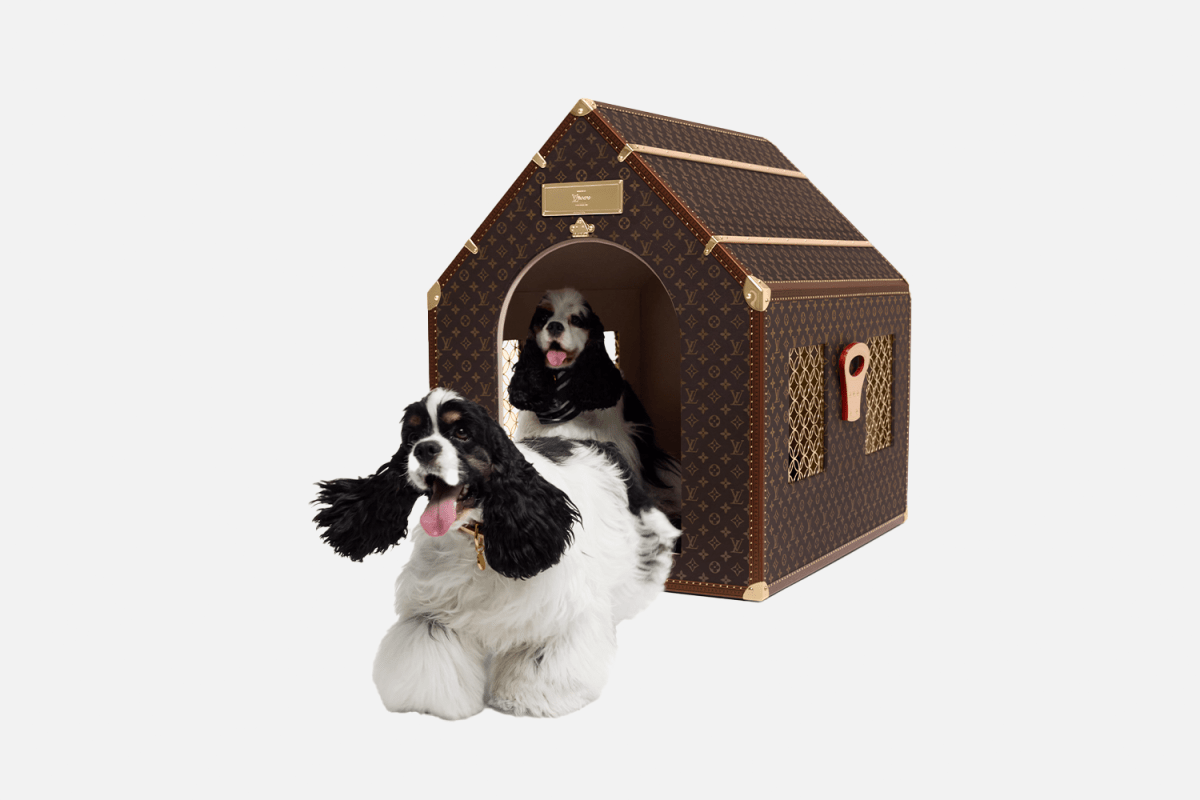 Louis Vuitton Kennel Trunk
