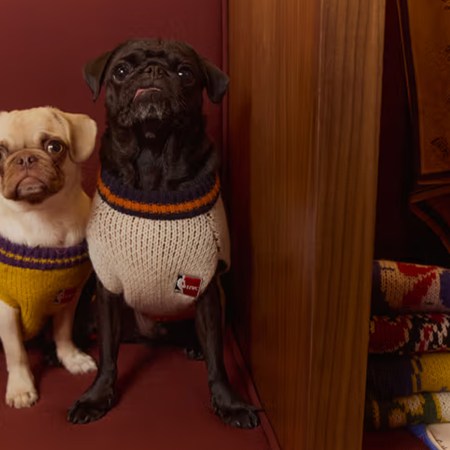 The Best Gifts for Dog Owners, the Most Insufferable Breed of Parent