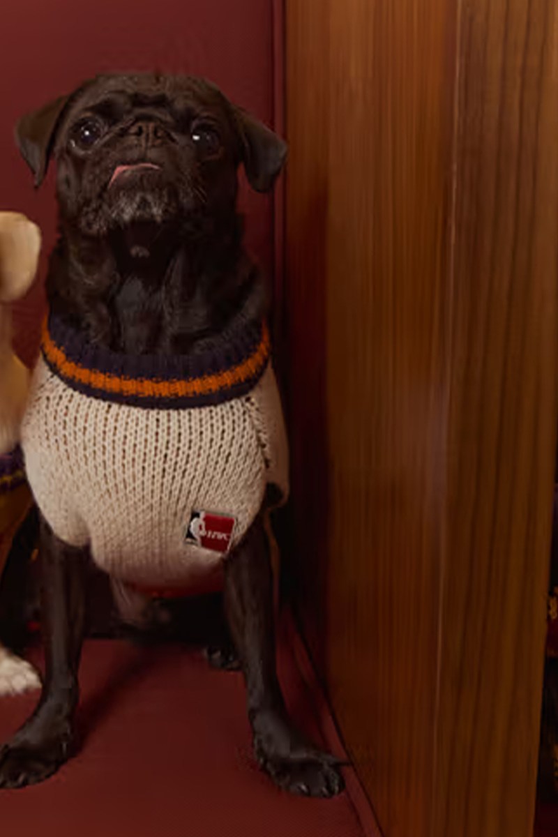 Pooch-obsessed presents.