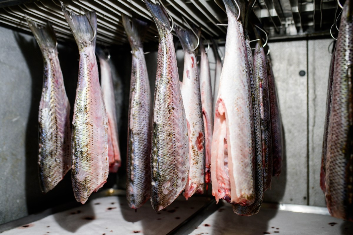 Dry-Aged Fish Is Coming to a Restaurant Near You