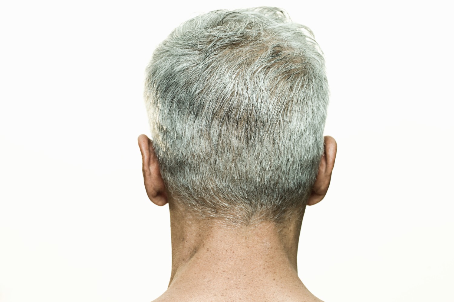 Back of a man's head with grey hair