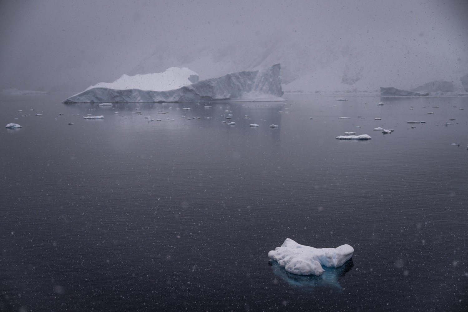 Glaciers in Antarctica