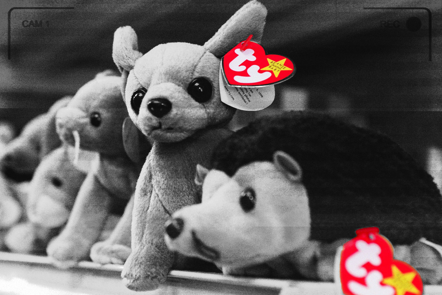 Beanie Babies sit on a shelf in a store in Washington, D.C. in 1999.