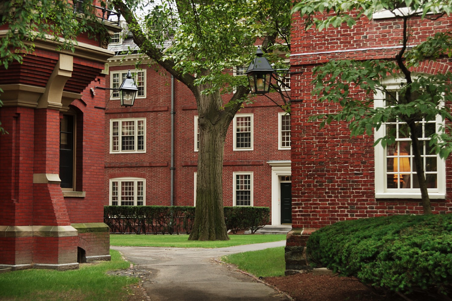 Harvard campus