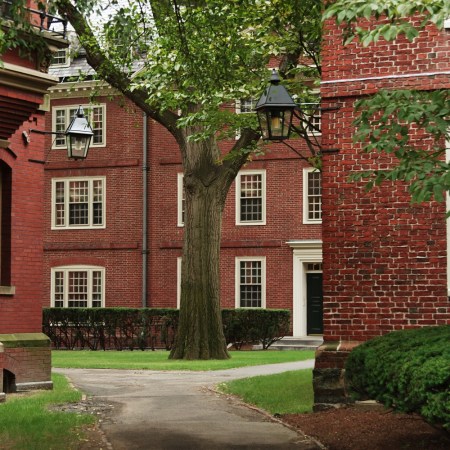 Harvard campus