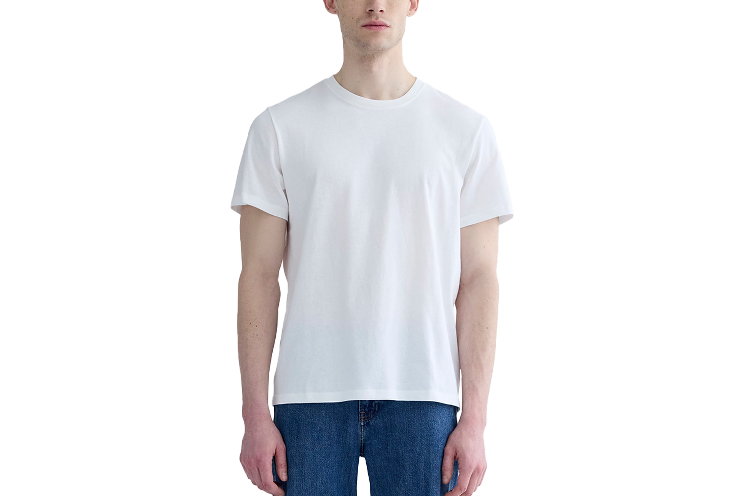 Everlane The Premium-Weight Crew