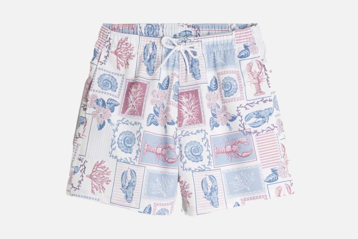 Hollister Mid-Thigh Seersucker Volley Swim Trunks