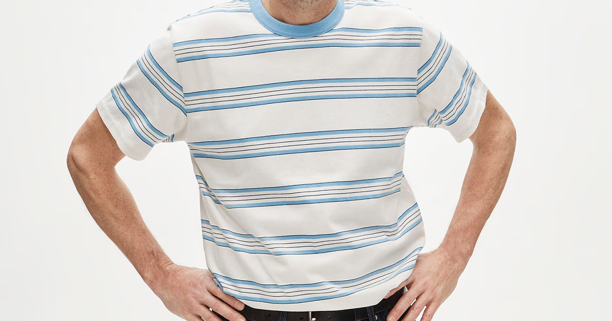 Wallace & Barnes heritage-weight cotton T-shirt in stripe