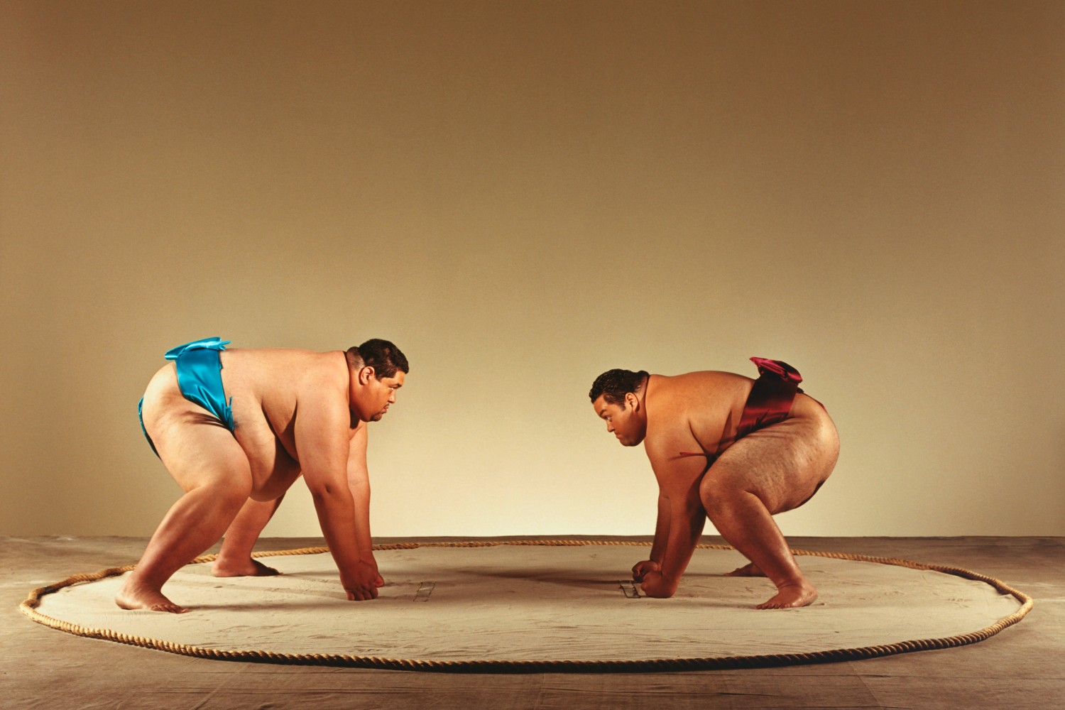 Sumo wrestling