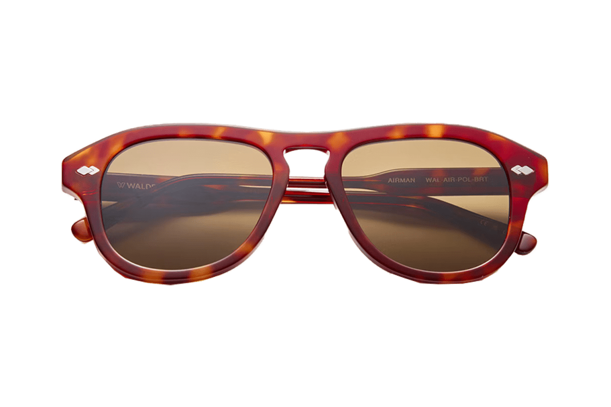 Walden Eyewear Airman Sunglasses – Polarized