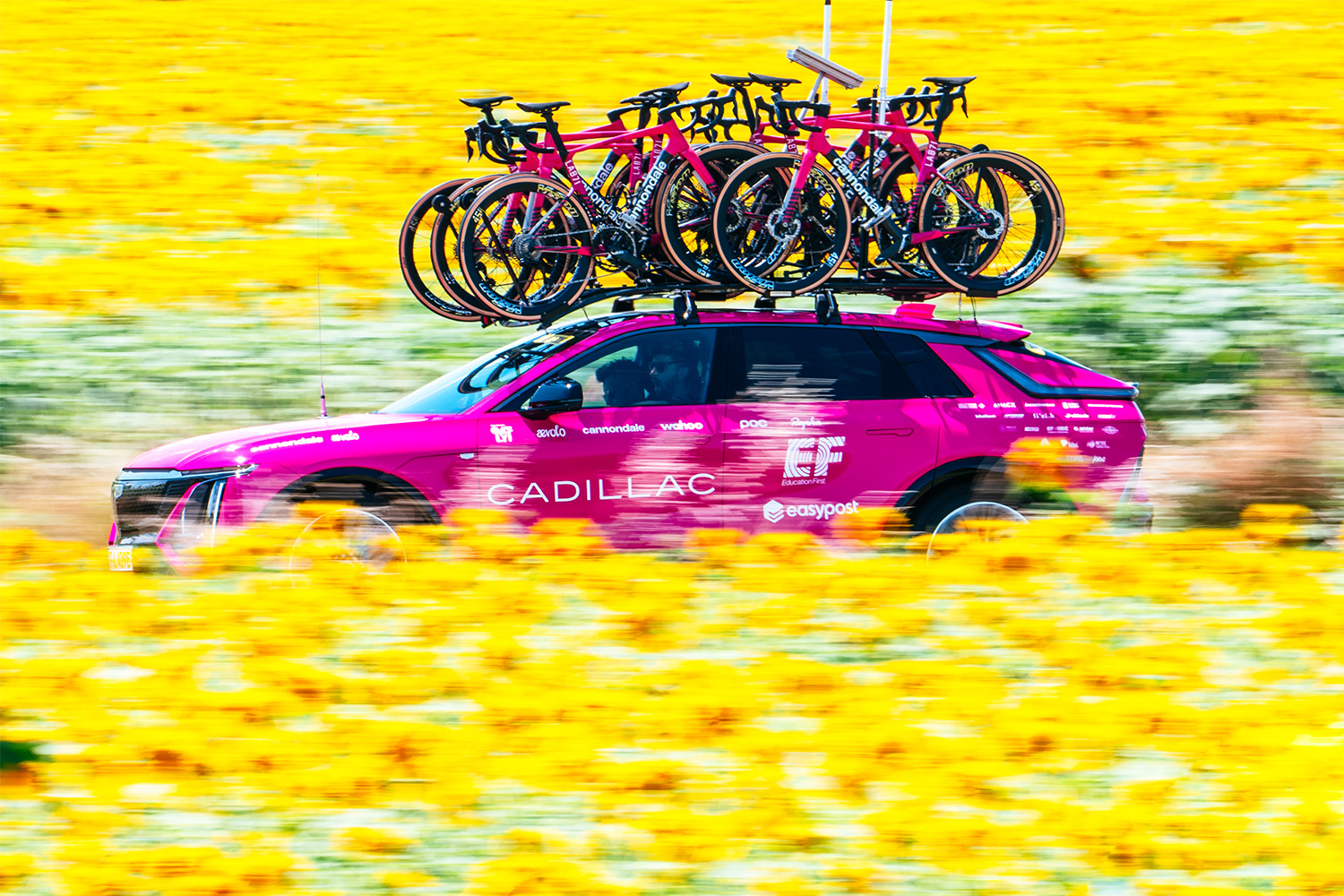 A pink Cadillac Lyriq with bicycles on a roof rack driving through a field of yellow flowers during the Tour de France