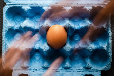 Single brown egg in blue carton, representing choline-rich foods for brain health.