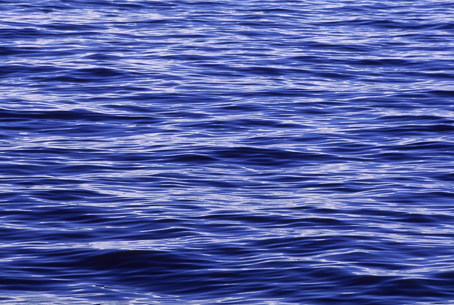 UNITED STATES - 2004/01/01: Calm Ocean. (Photo by Wolfgang Kaehler/LightRocket via Getty Images)