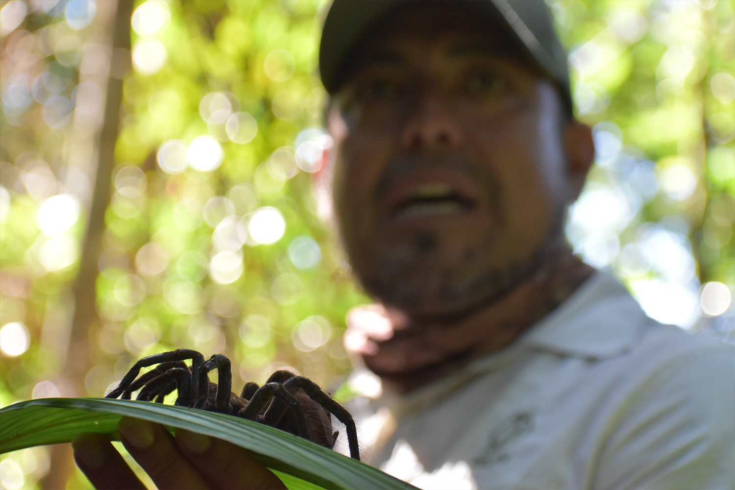 Naturalist Ericson with a Goliath birdeater tarantula