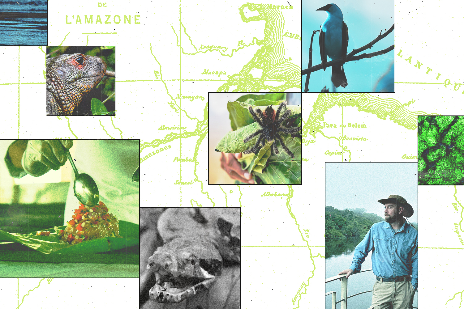 Sleep in a suite with panoramic jungle views while drifting through Peru’s Pacaya Samiria National Reserve