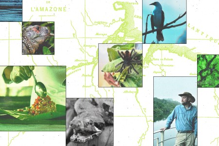 Sleep in a suite with panoramic jungle views while drifting through Peru’s Pacaya Samiria National Reserve