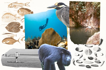 Island Hopping Through the Second Largest Barrier Reef in the World