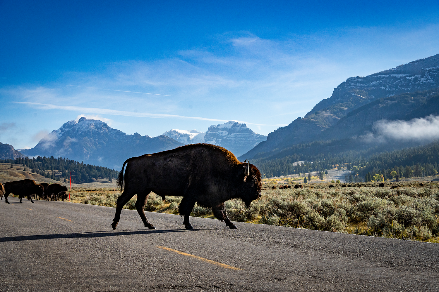 Yellowstone National Park