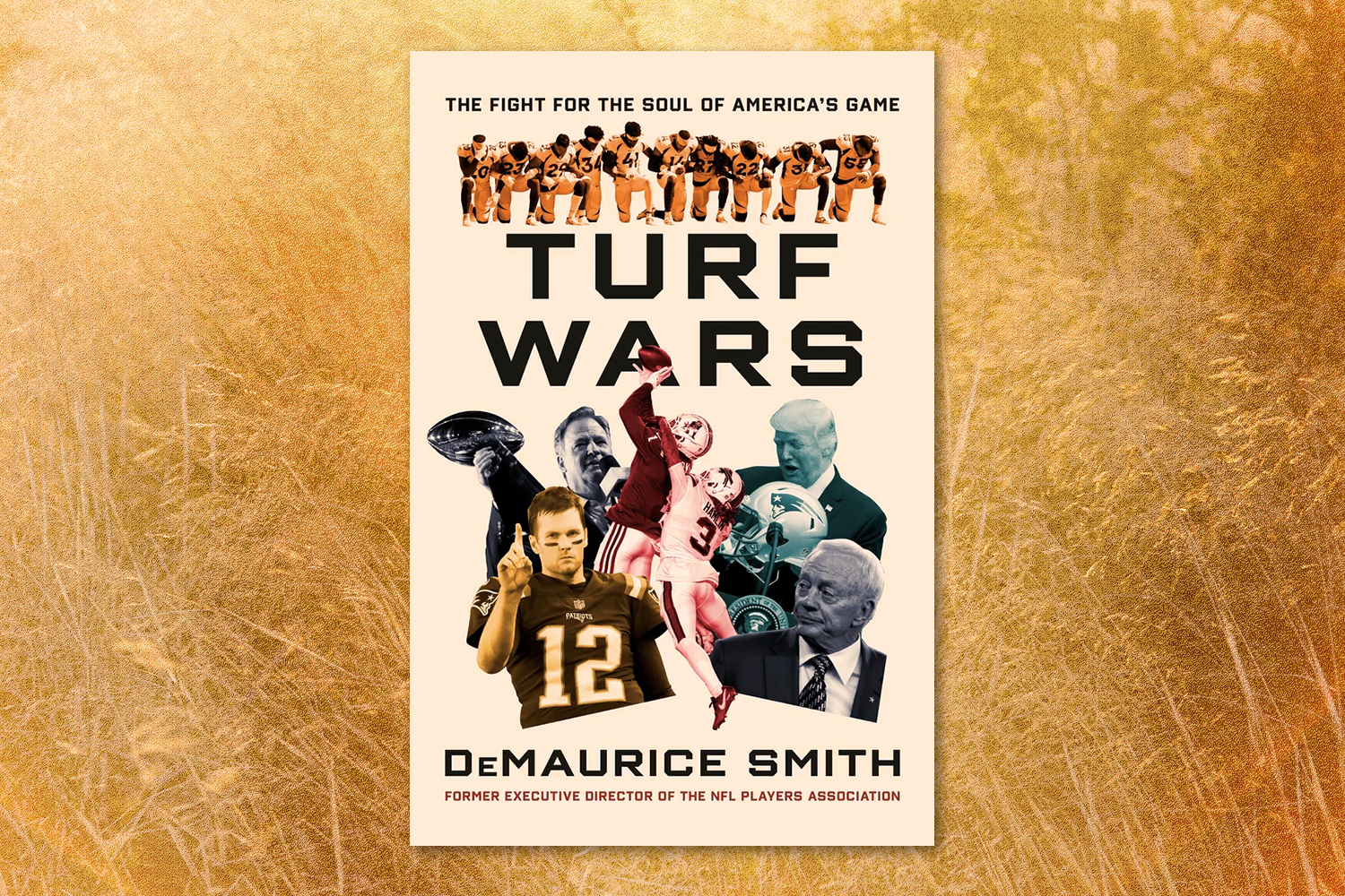 DeMaurice Smith, Turf Wars: The Fight for the Soul of America's Game 