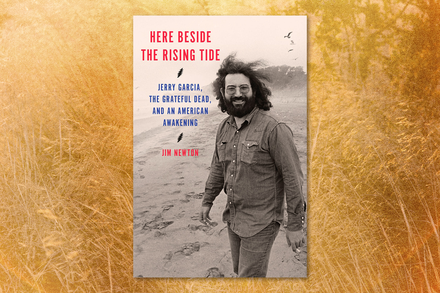 Jim Newton, Here Beside the Rising Tide: Jerry Garcia, the Grateful Dead, and an American Awakening 