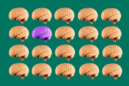 A grid of 20 brains, with 19 brown and 1 purple, on a green background