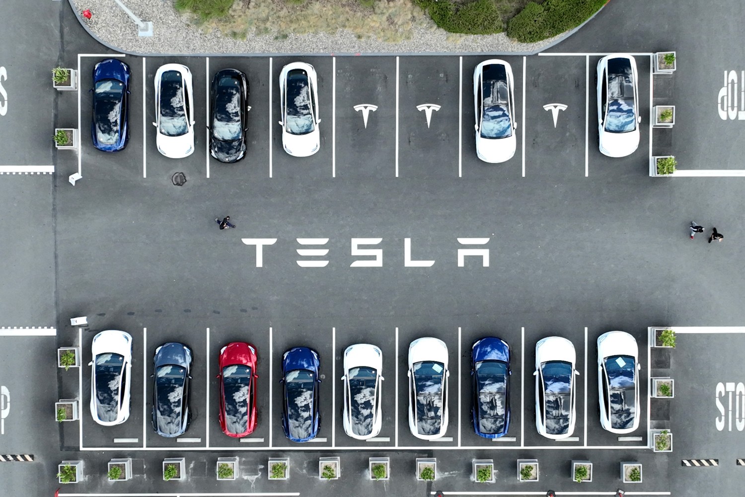 Parked Tesla cars