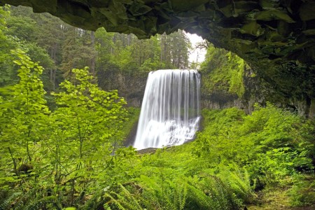 Waterfall at Silver Falls State Park
