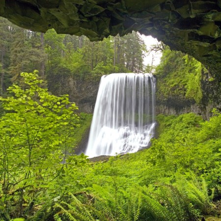 Waterfall at Silver Falls State Park
