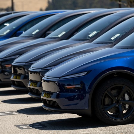 Tesla EVs lined up