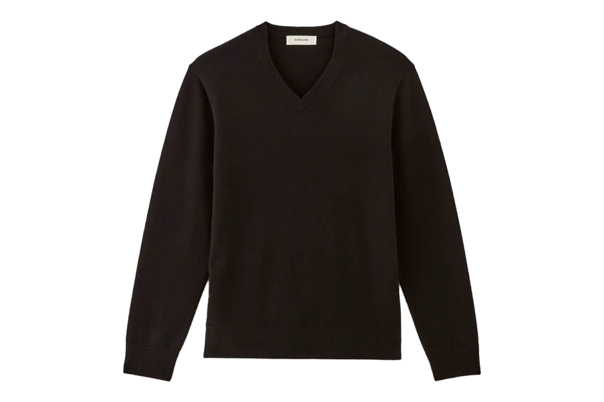 Everlane The Cashmere V-Neck Sweater