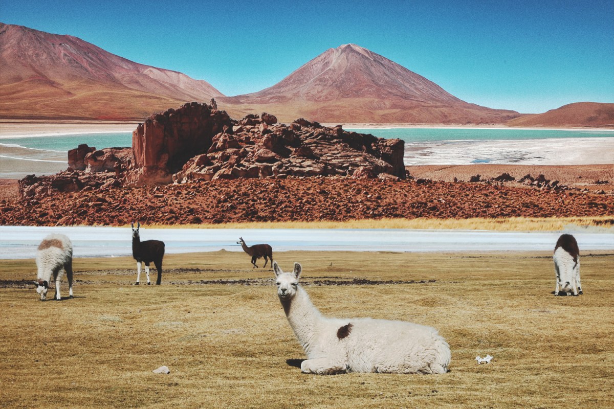 Bolivia's Salt Flat Offers One of the Most Surreal Adventures - InsideHook