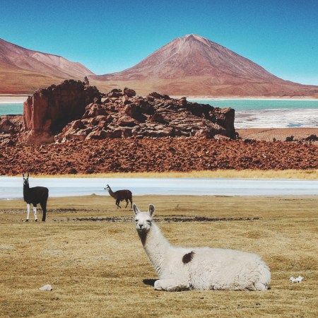 A vast, otherworldly expanse of blindingly white salt crust, Salar de Uyuni sits at nearly 12,000 feet above sea level and was formed by the evaporation of ancient lakes.