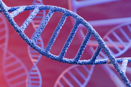 Image of DNA double helix