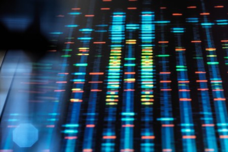 Observing human genetics