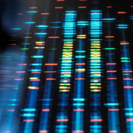 Observing human genetics