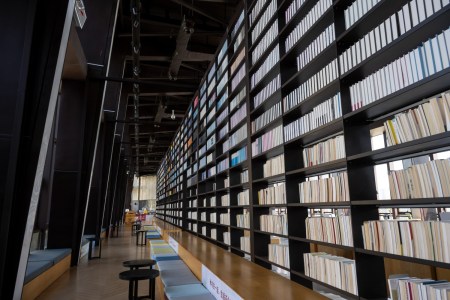 Report: AI References to Fake Books Are Frustrating Librarians