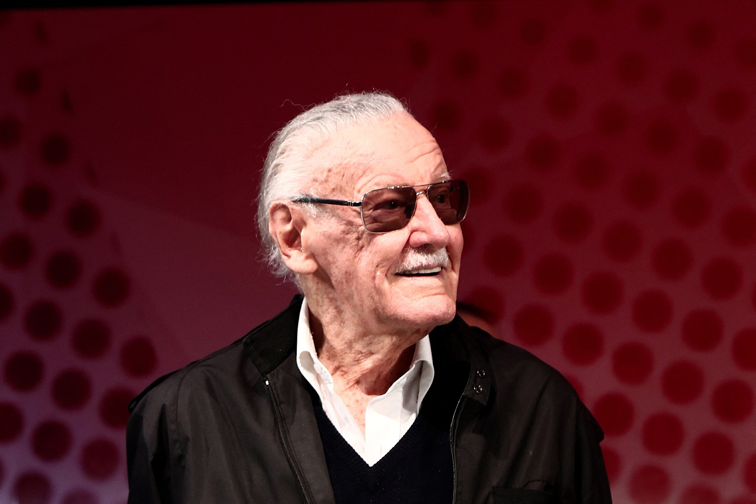 Stan Lee in 2016