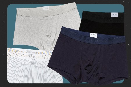 collage of boxers on textured multi-colored background