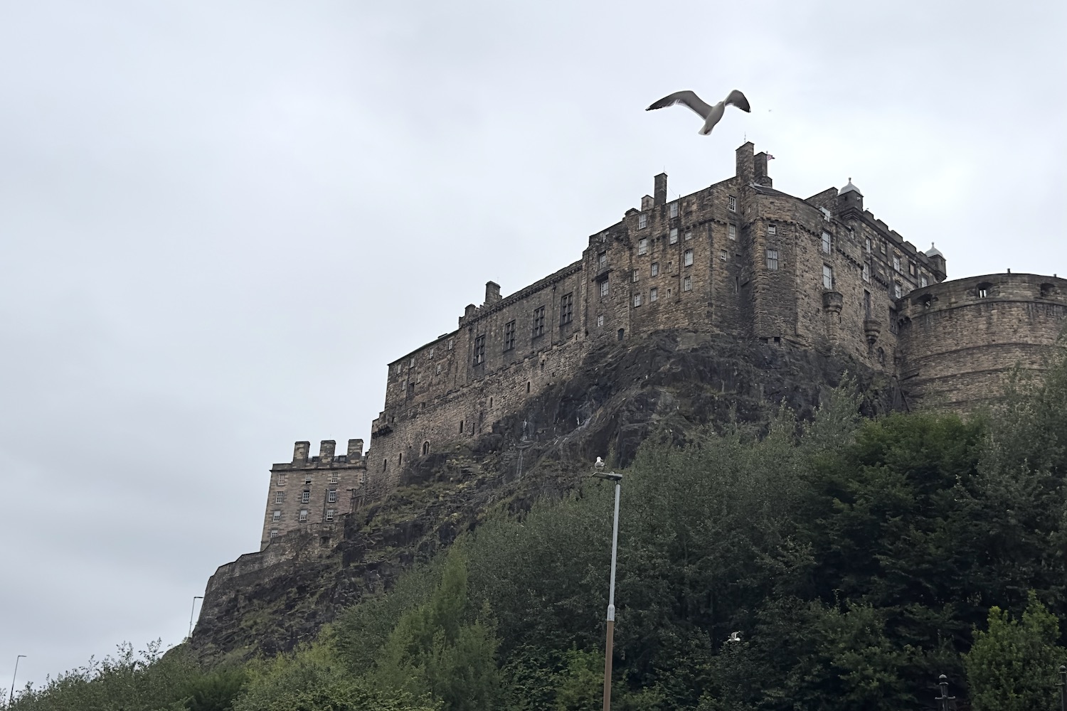 Edinburgh castle with a bird flying above it
