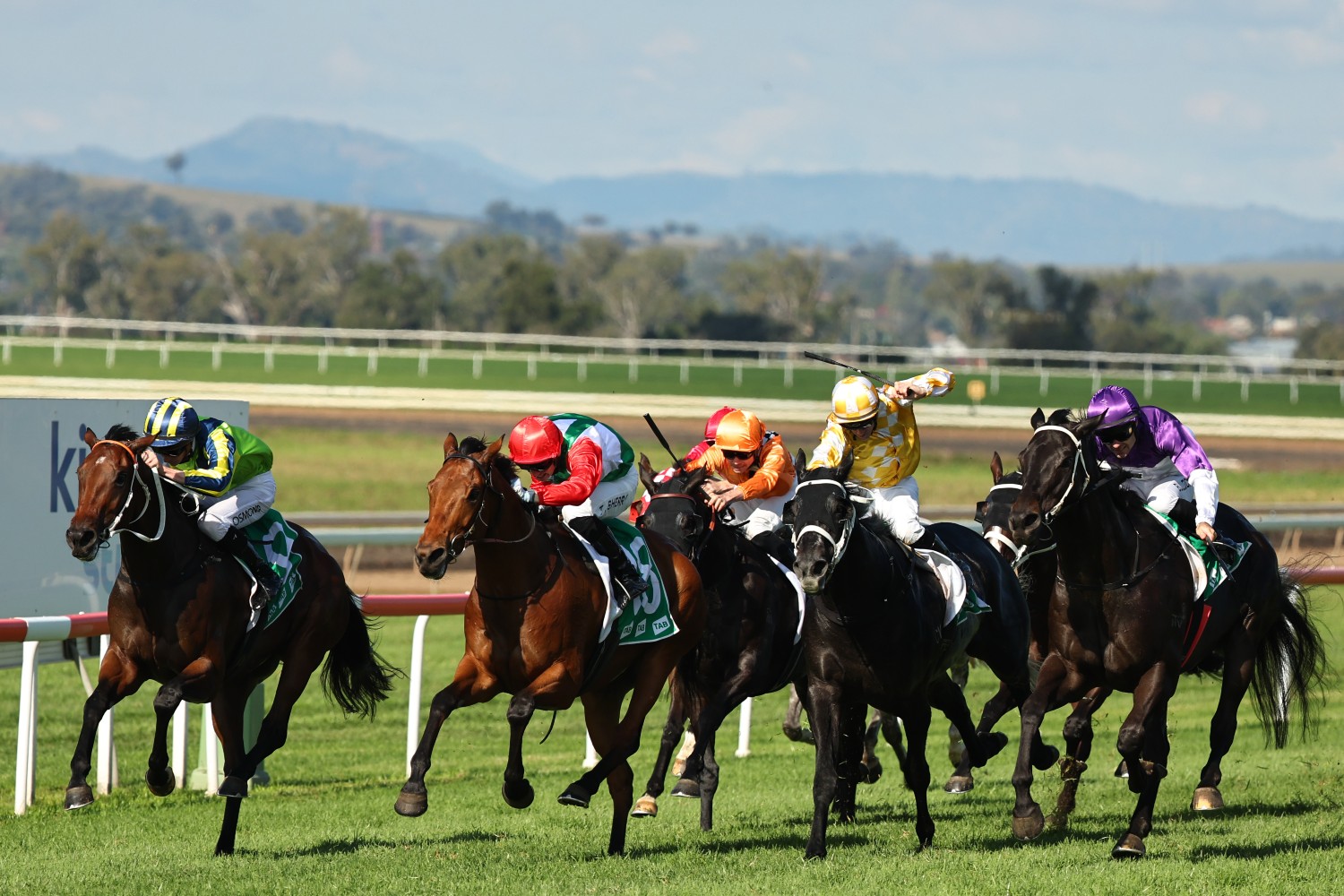 Horse racing at Muswellbrook