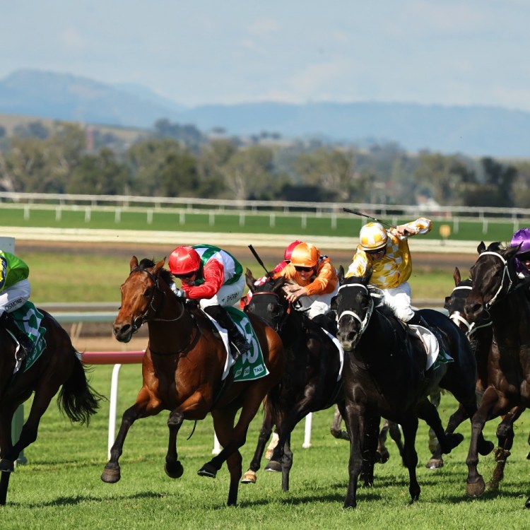 Horse racing at Muswellbrook