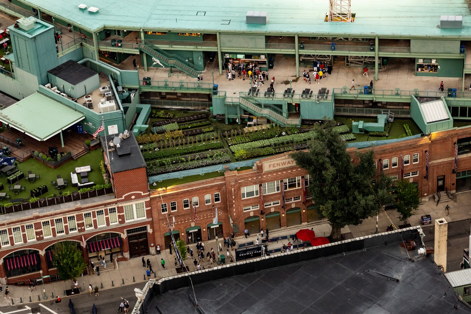 Farms atop Fenway Park