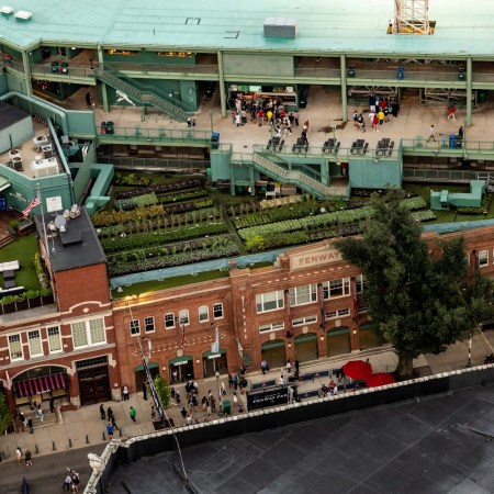 Farms atop Fenway Park