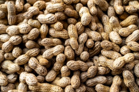 Dozens of unshelled peanuts