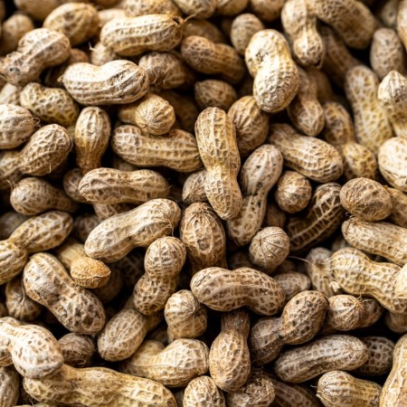 Dozens of unshelled peanuts