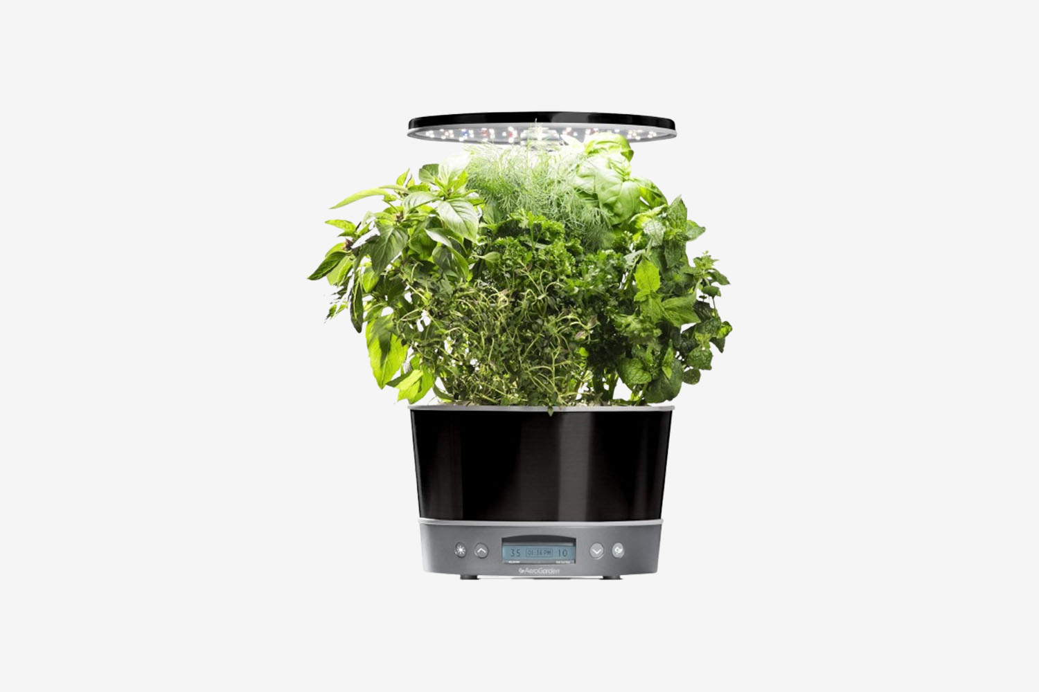 Get an Indoor Garden Before Winter Starts