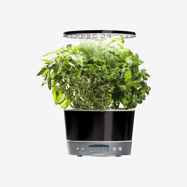 AeroGarden Harvest Elite 360