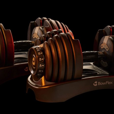 BowFlex Results Series 552 SelectTech Dumbbells