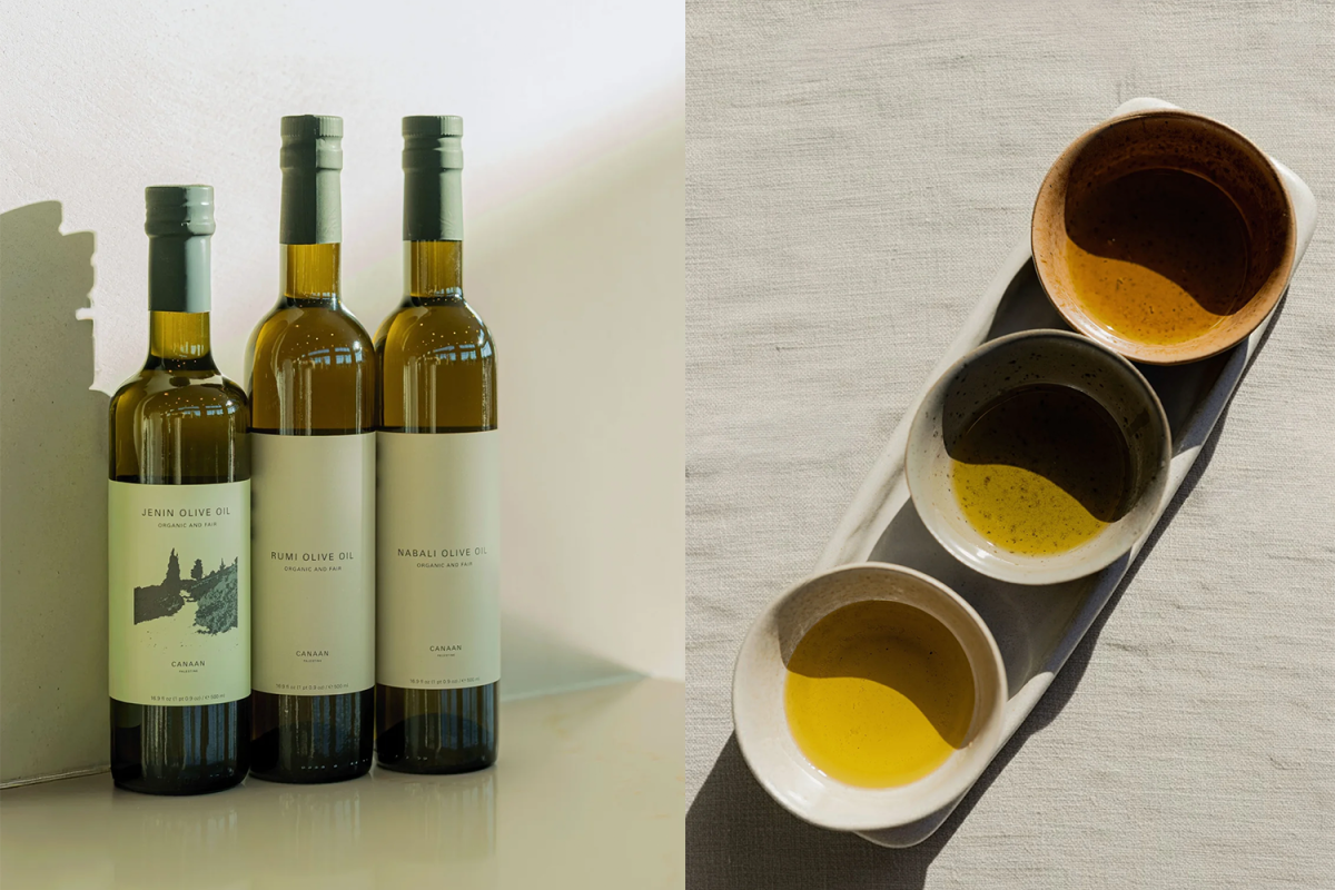Canaan Palestine The Signature Olive Oils Gift Set